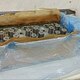 ГБЦ (головка блока цилиндров) ЕВРО-3 нов.  - 7
