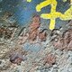 Кронштейн амортизатора передней оси нижний лев. б/у - 2